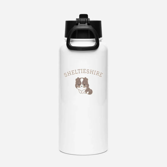 Stainless Steel Bottle